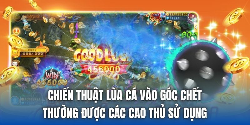 Chiến thuật lùa cá vào góc chết thường được các cao thủ sử dụng
